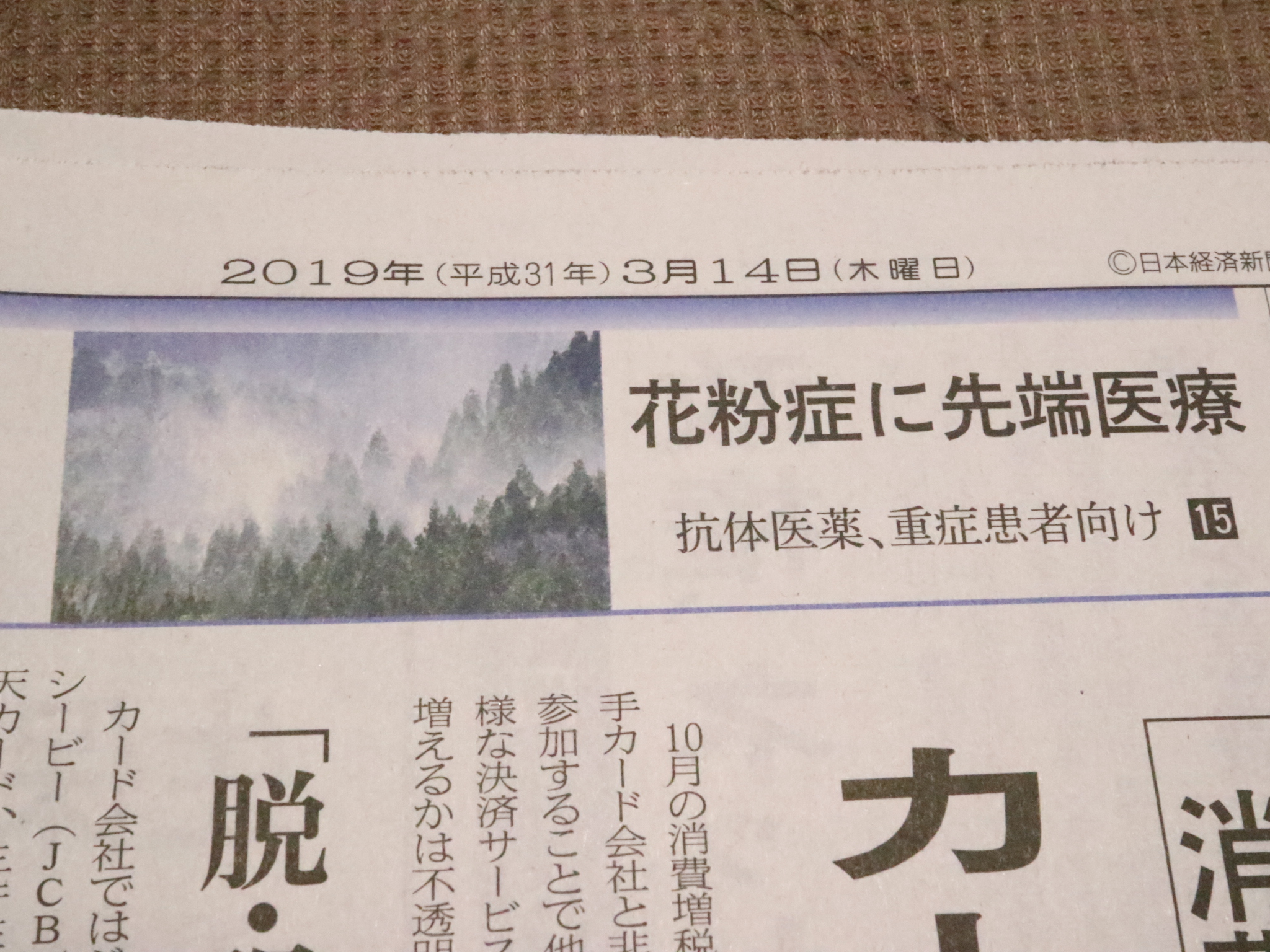 「花粉症に先端医療」!? 「花粉症に先端医療」!?
